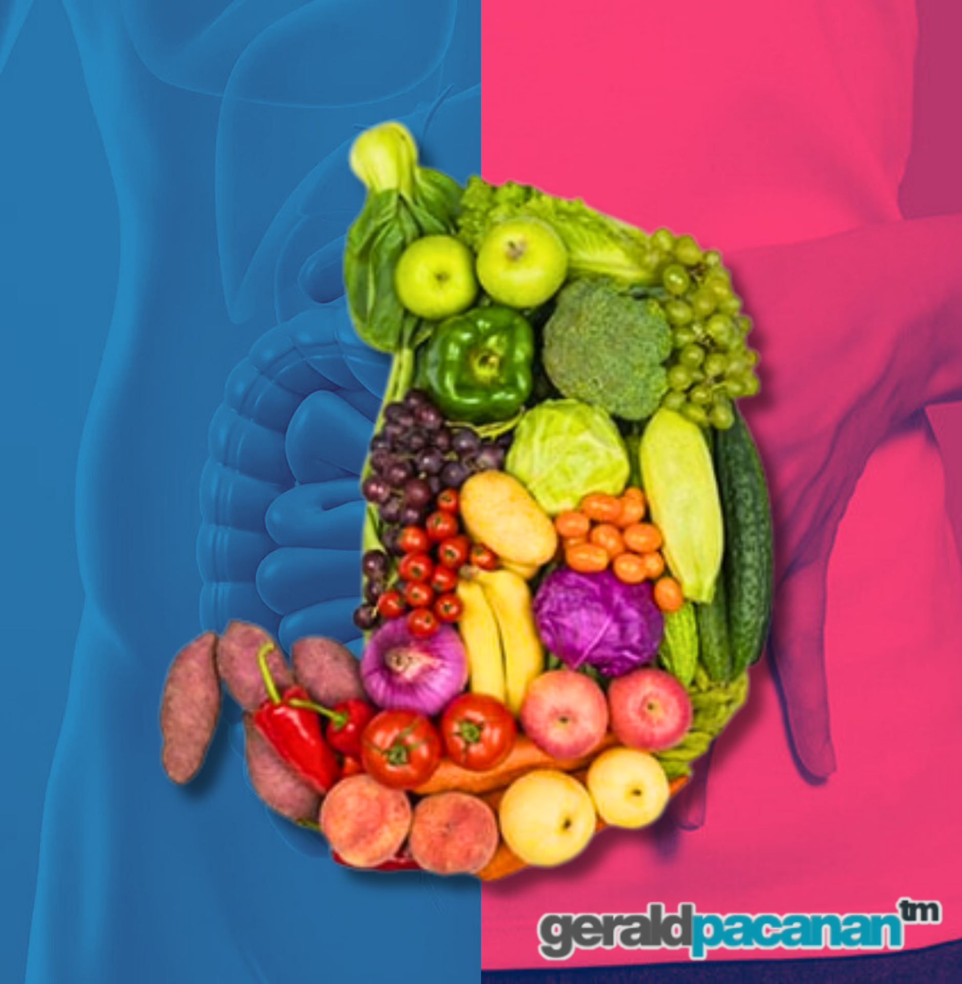 Understanding Digestive Health: Easy Everyday Tips