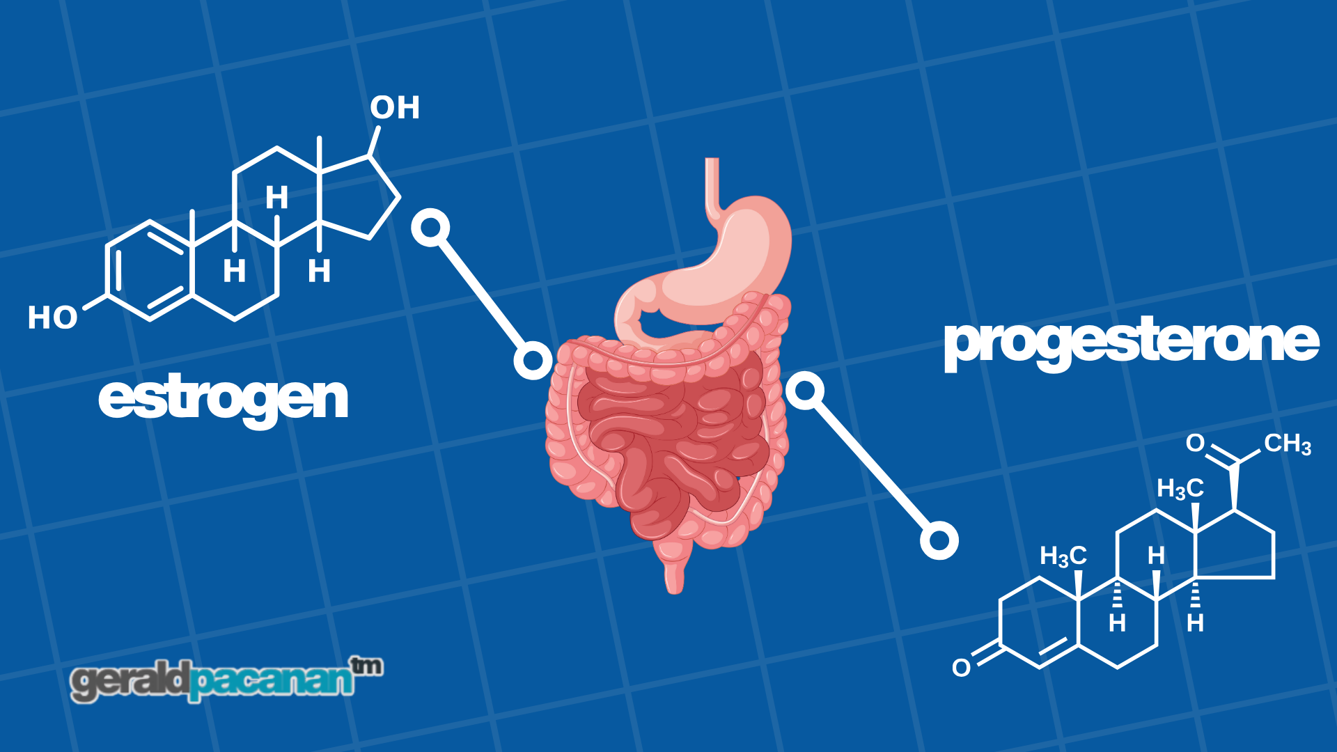 estrogen and progesterone